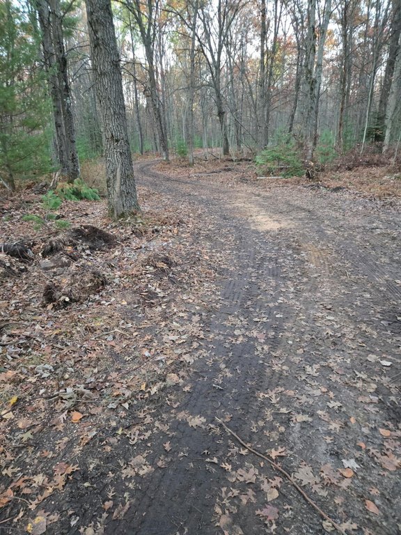 Picture 7