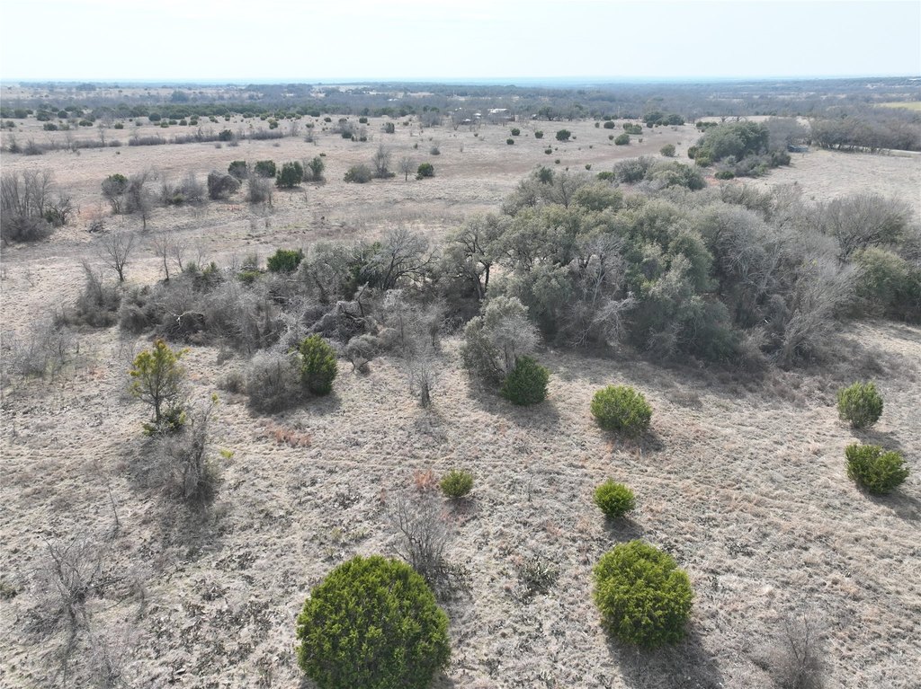 Picture 20