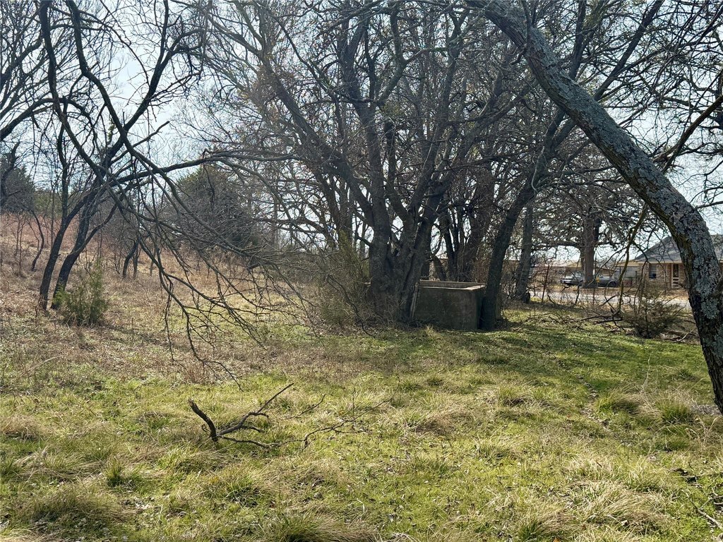 Picture 9