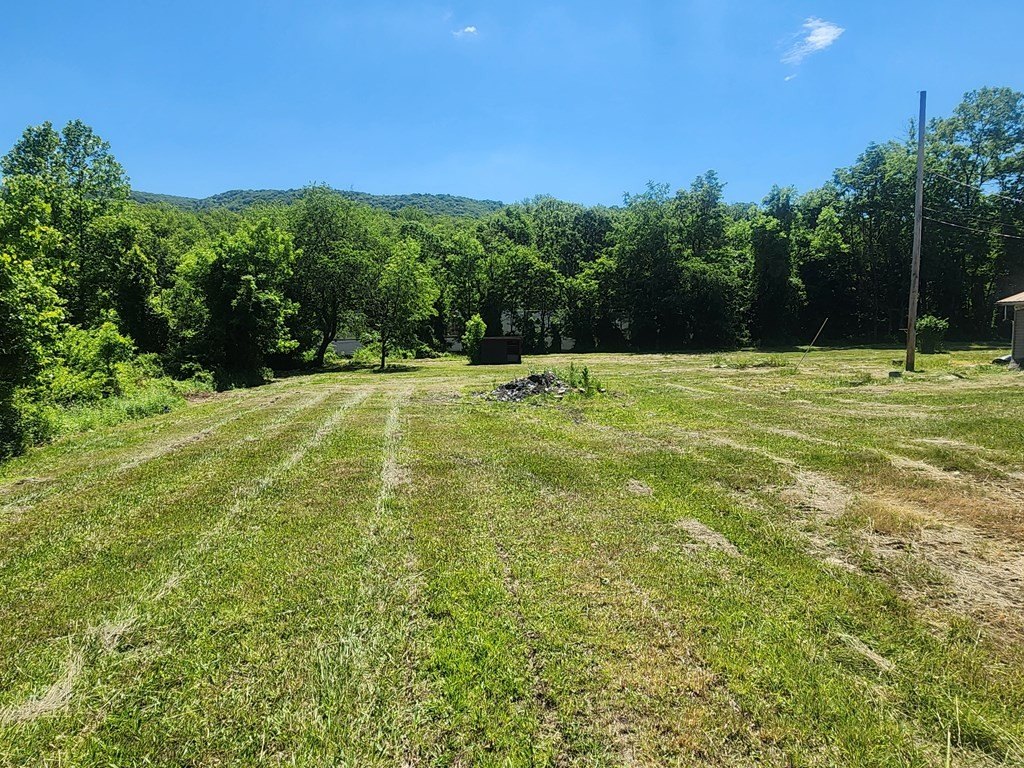 Picture 9
