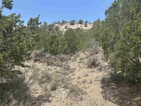 LAND, Fort Garland, CO