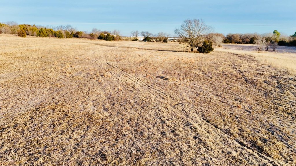 Picture 20