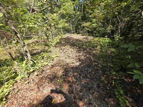 Vacant Land, Ozark Acres, AR
