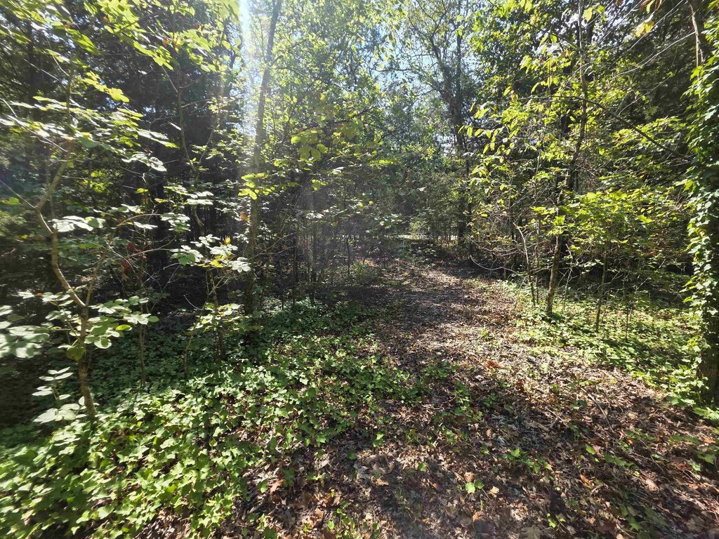 Picture 11