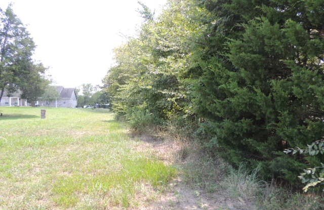 Picture 18