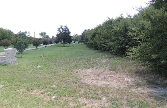 Picture 17