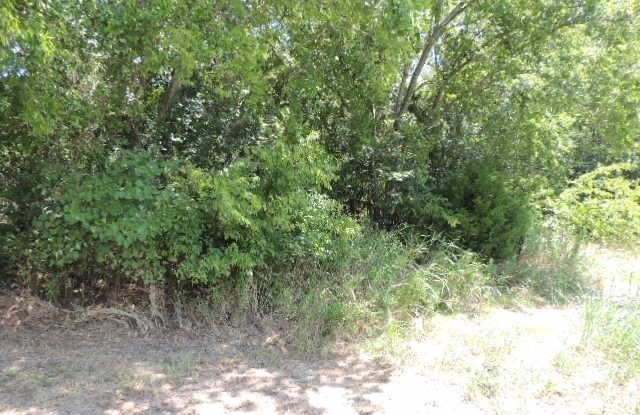 Picture 21