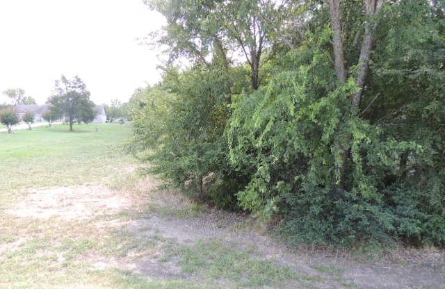 Picture 19
