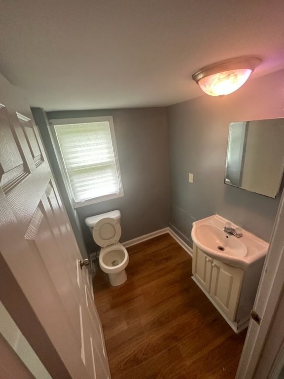 Picture 21
