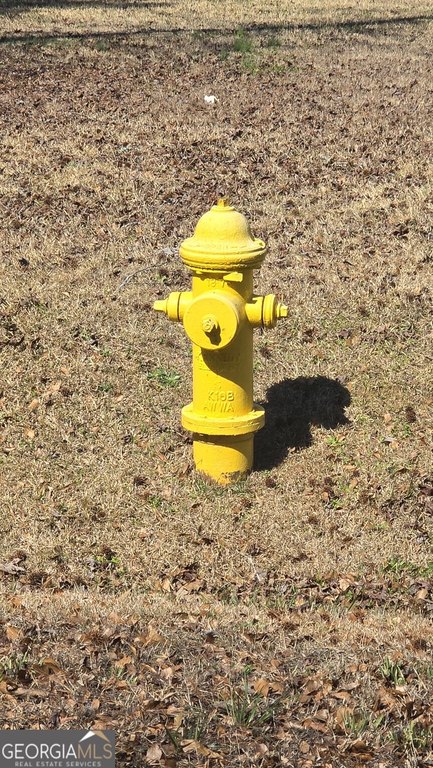 Picture 4