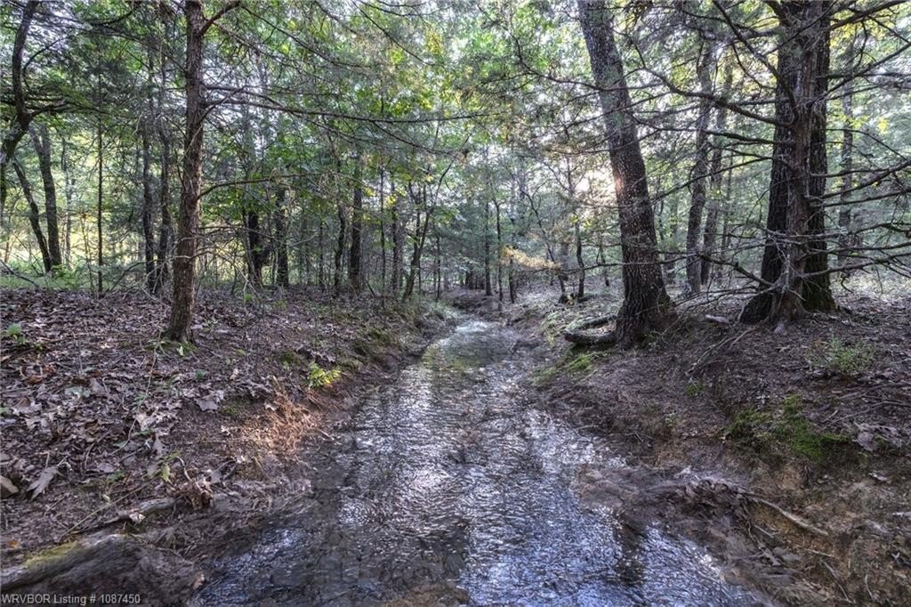 Secluded Land with Natural Spring
