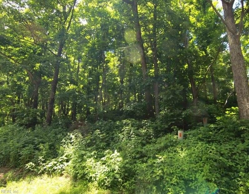 Wooded Lot in Wintergreen Mountain