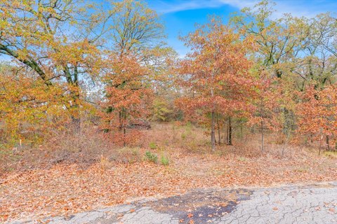 Wooded Land Parcel Near Lake Fork