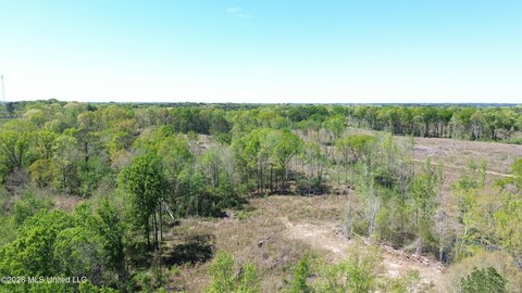 LAND - Forest, MS