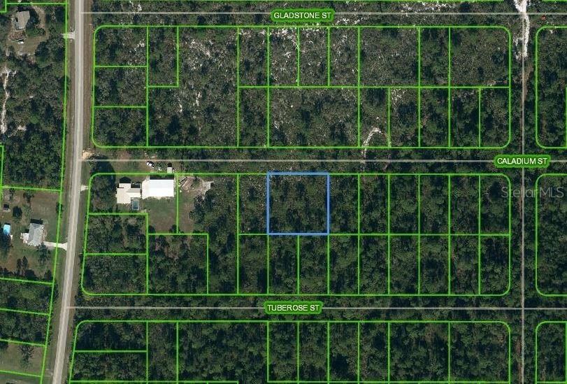 Residential Land in Lake Placid