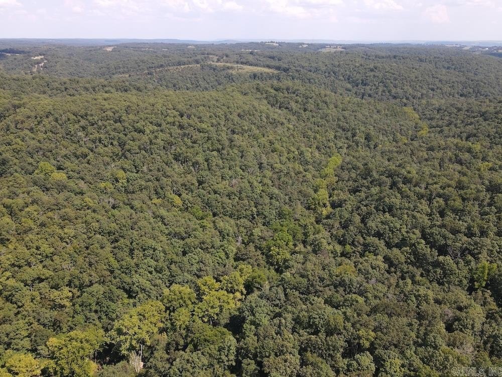 Secluded Hunting Land in Pyatt, AR