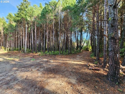 Secluded Land Parcel in PortOrford