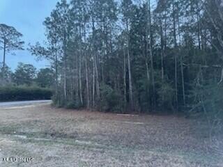 Waterfront Land in Vancleave, MS