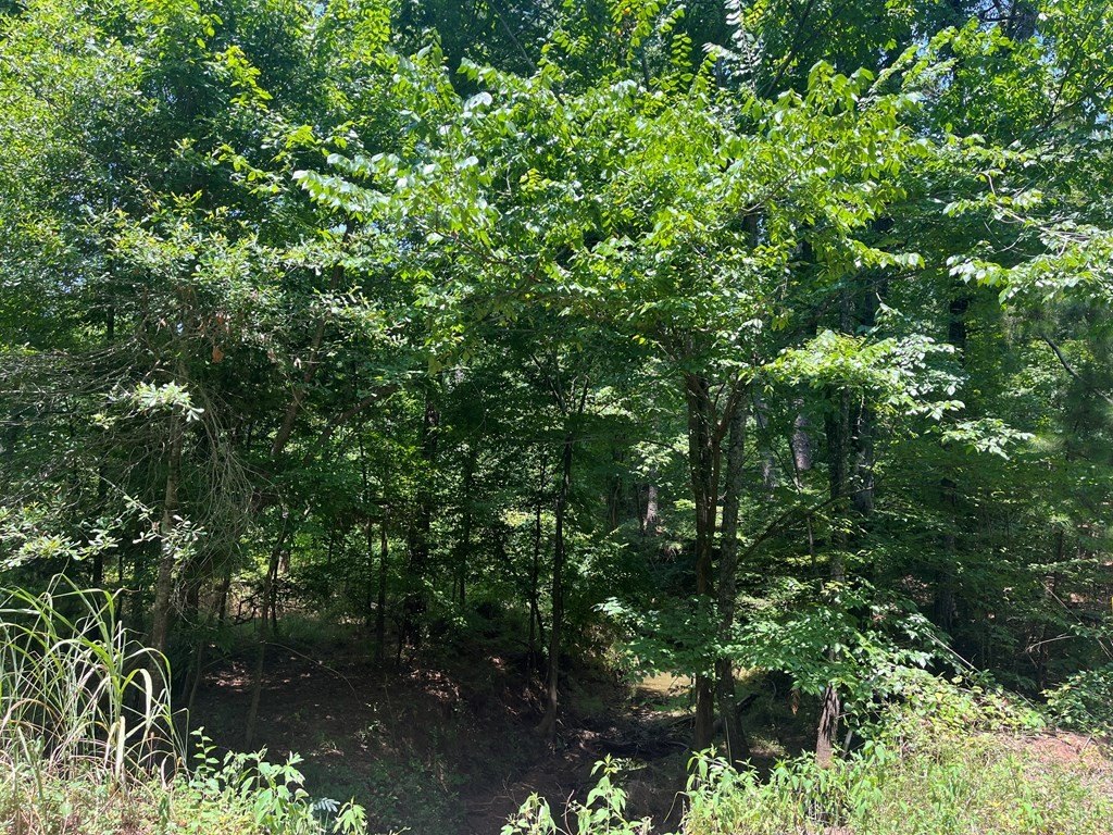 Picture 8