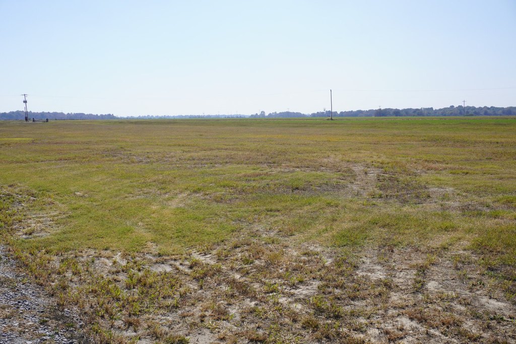 Picture 25