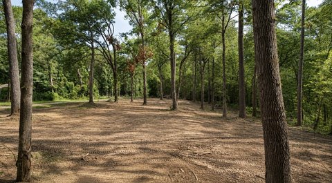 Unrestricted RV-Friendly Waterfront Land
