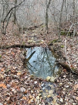 120 Acres Near Bennett Springs