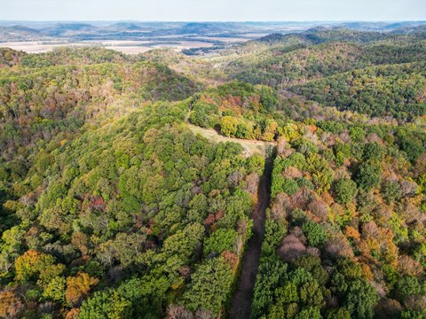 Large Acreage Land with Build Site