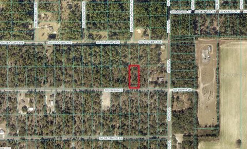 Land, DUNNELLON, FL