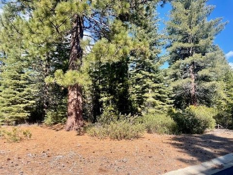 Lake Almanor Corner Lot