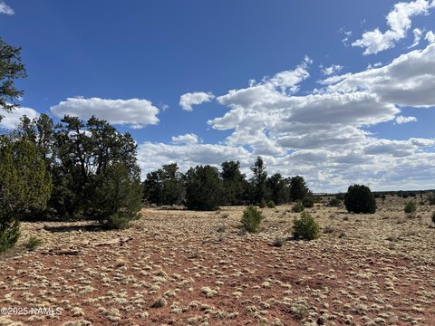 Land Near Grand Canyon