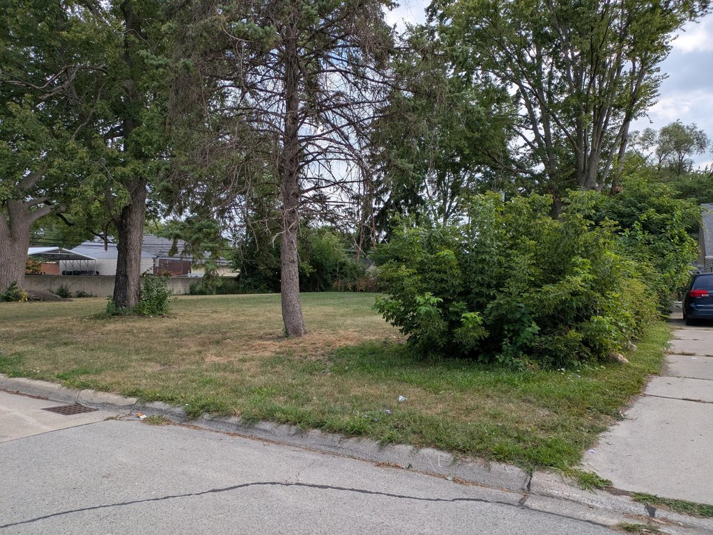 Picture 2