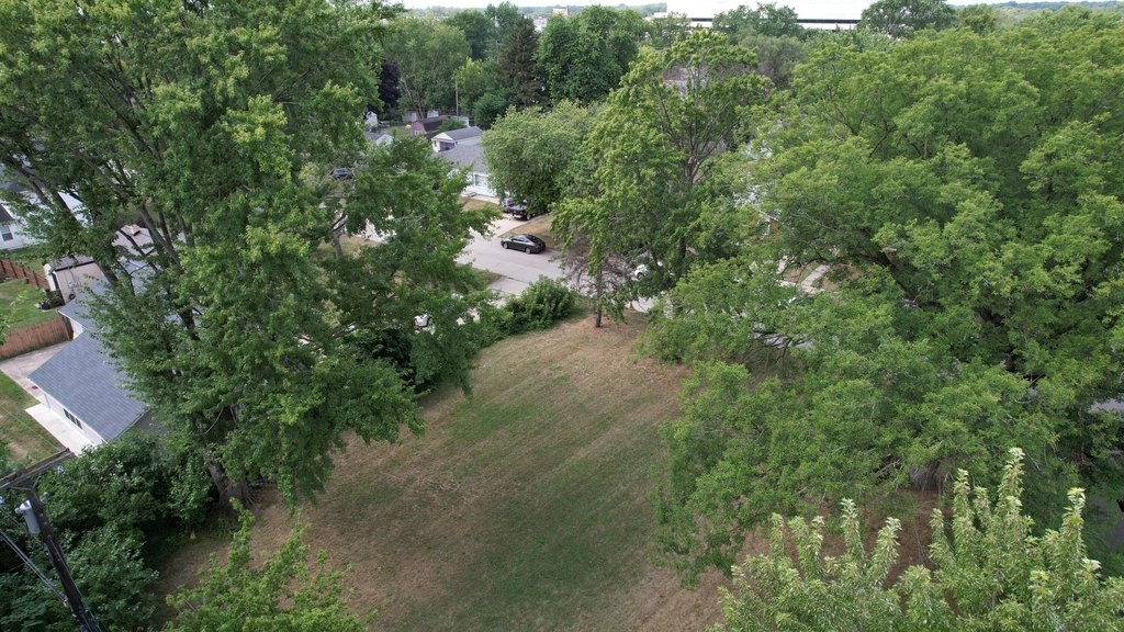 Picture 7