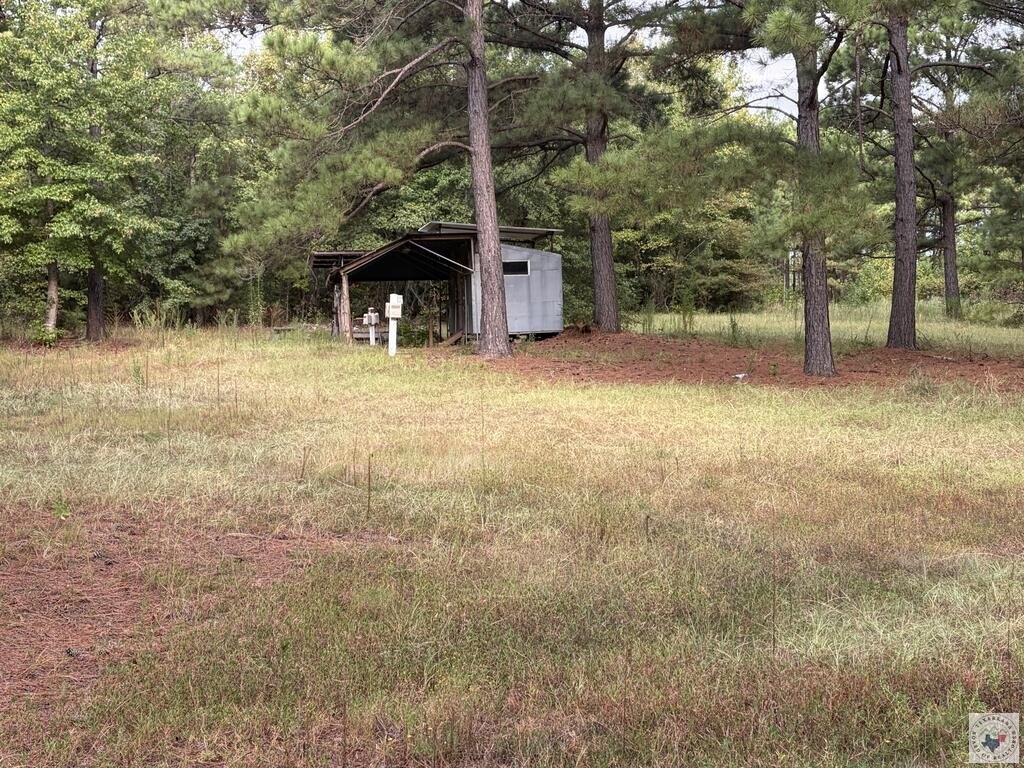 Picture 16