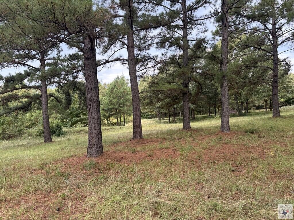 Picture 13