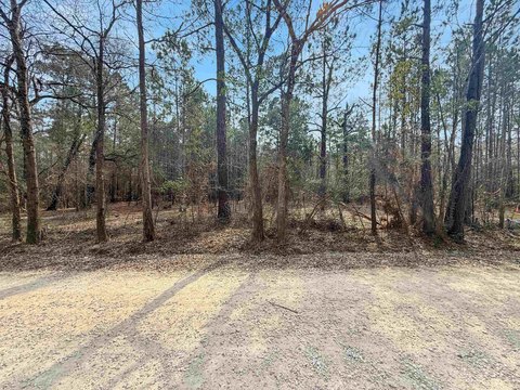 Lots - Lumberton, TX