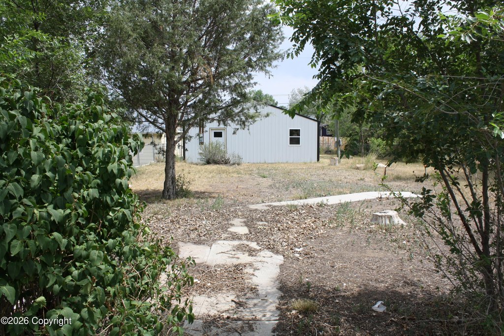 Picture 24