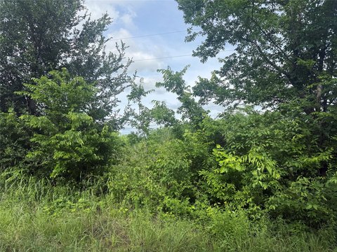 Acreage with Pond and Creek
