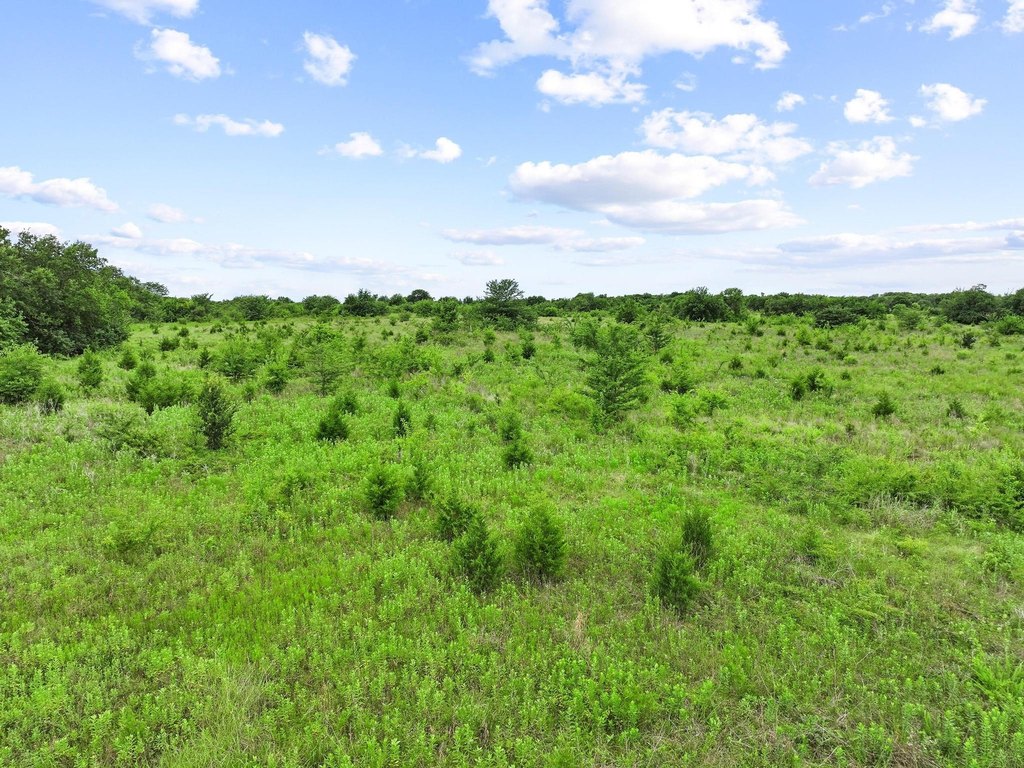 Picture 25