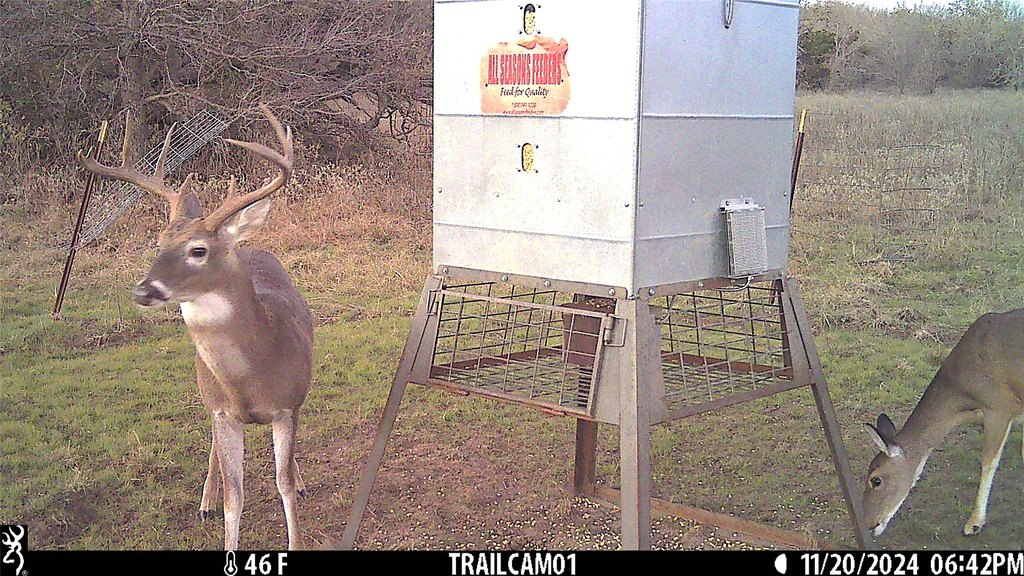 Picture 6