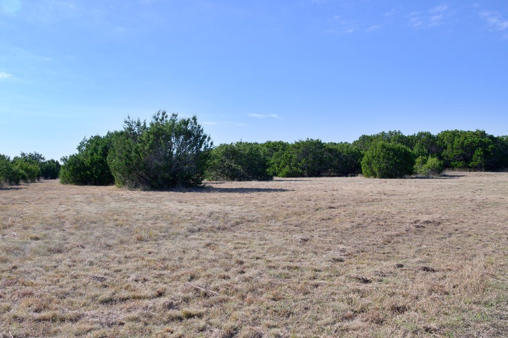 Picture 21