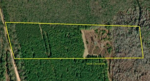 Unrestricted Land Near Cottonwood, AL