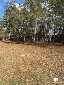 Land, Fairhope, AL