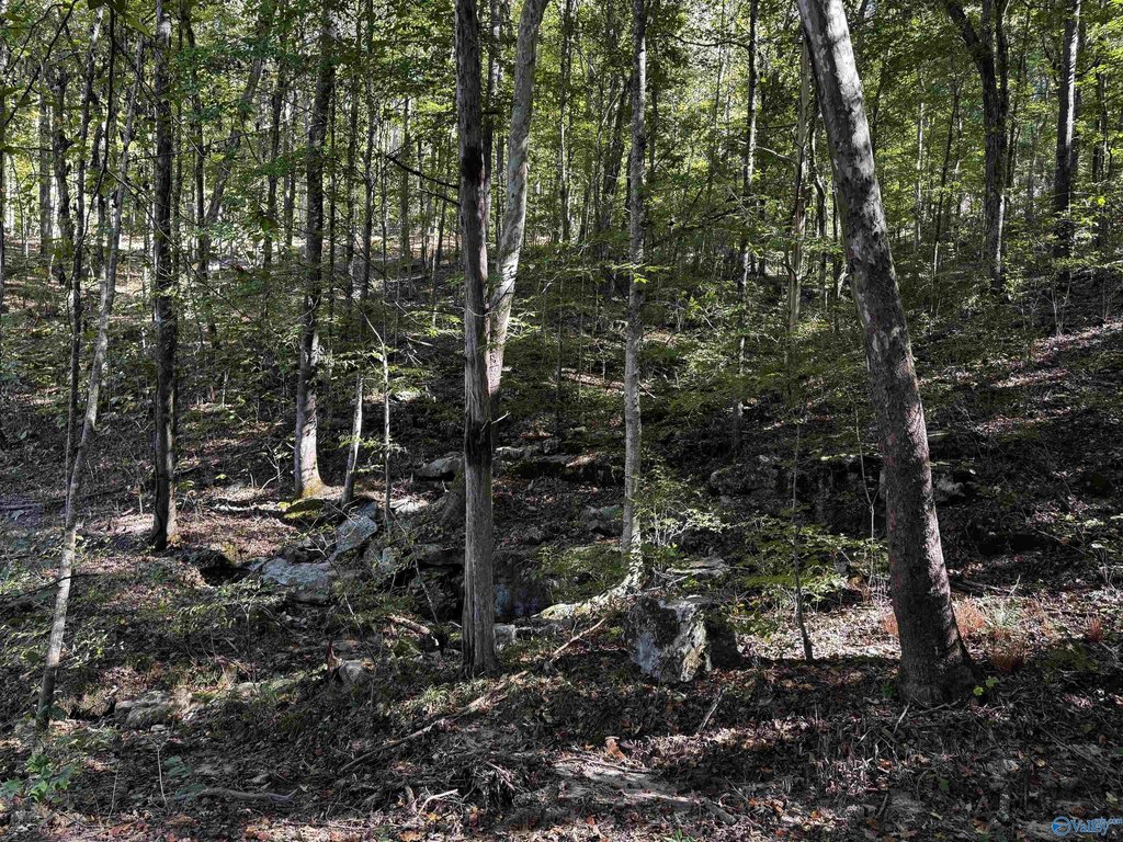 Picture 13