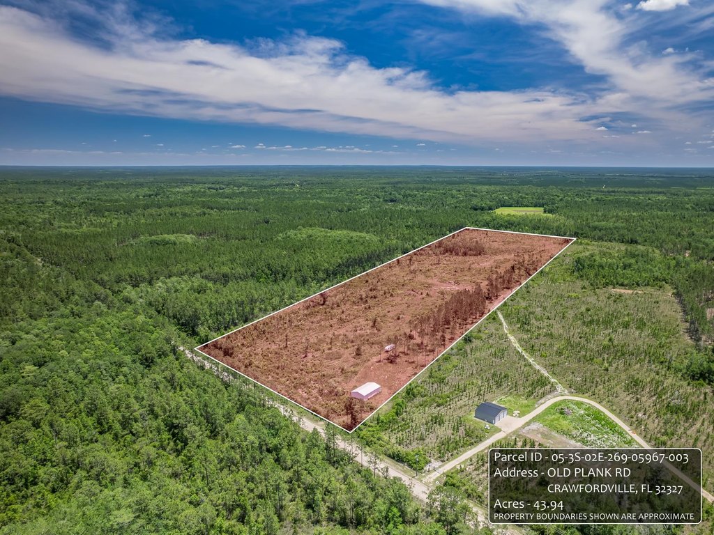 Picture 13