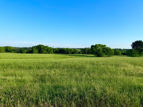 5-Acre Homesite in Gated Community