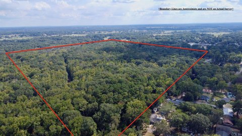 Hunting Land with Mature Hardwood Trees
