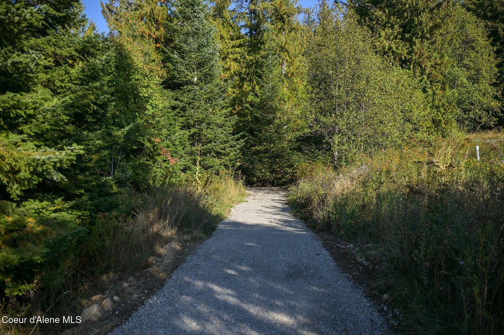 Picture 24