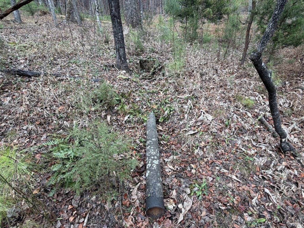 Picture 25