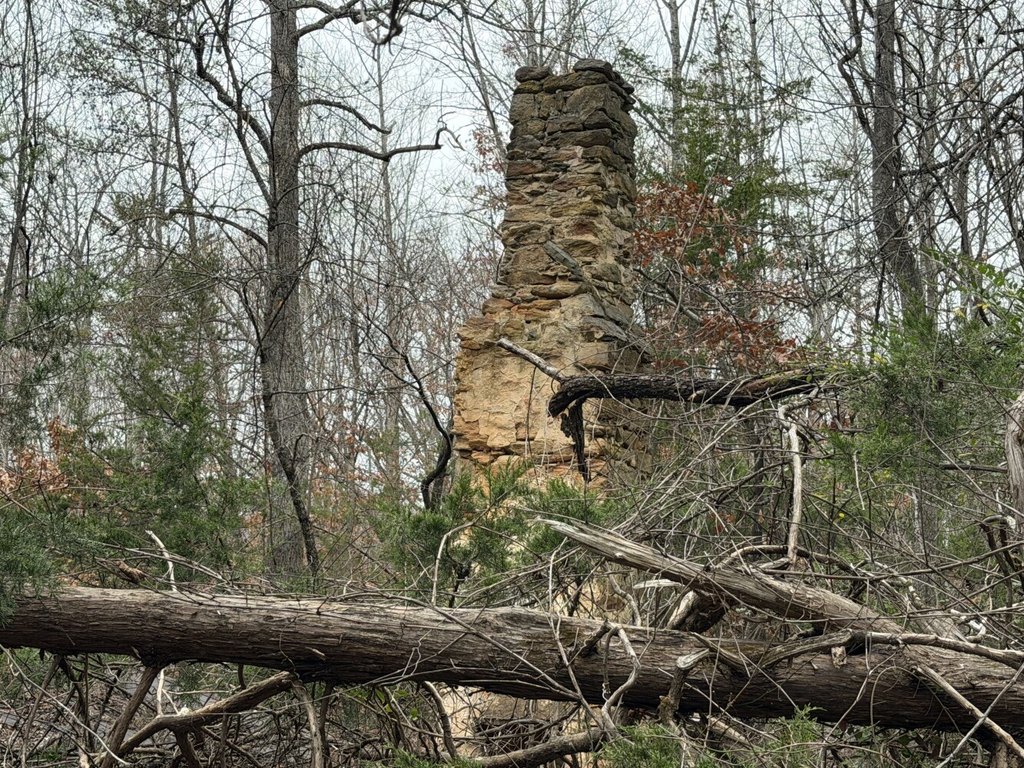 Picture 24