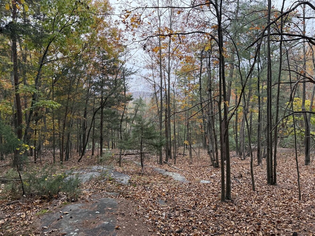 Picture 2